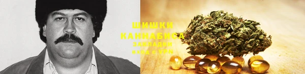 бошки Каменногорск