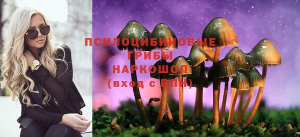 меф Инта
