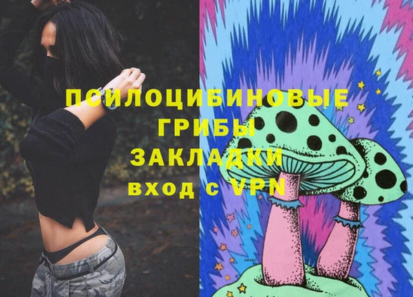 мдма Каменка
