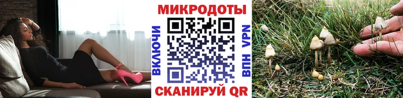 Галлюциногенные грибы Psilocybine cubensis  Ахтырский 